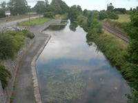 Royal Canal Kildare